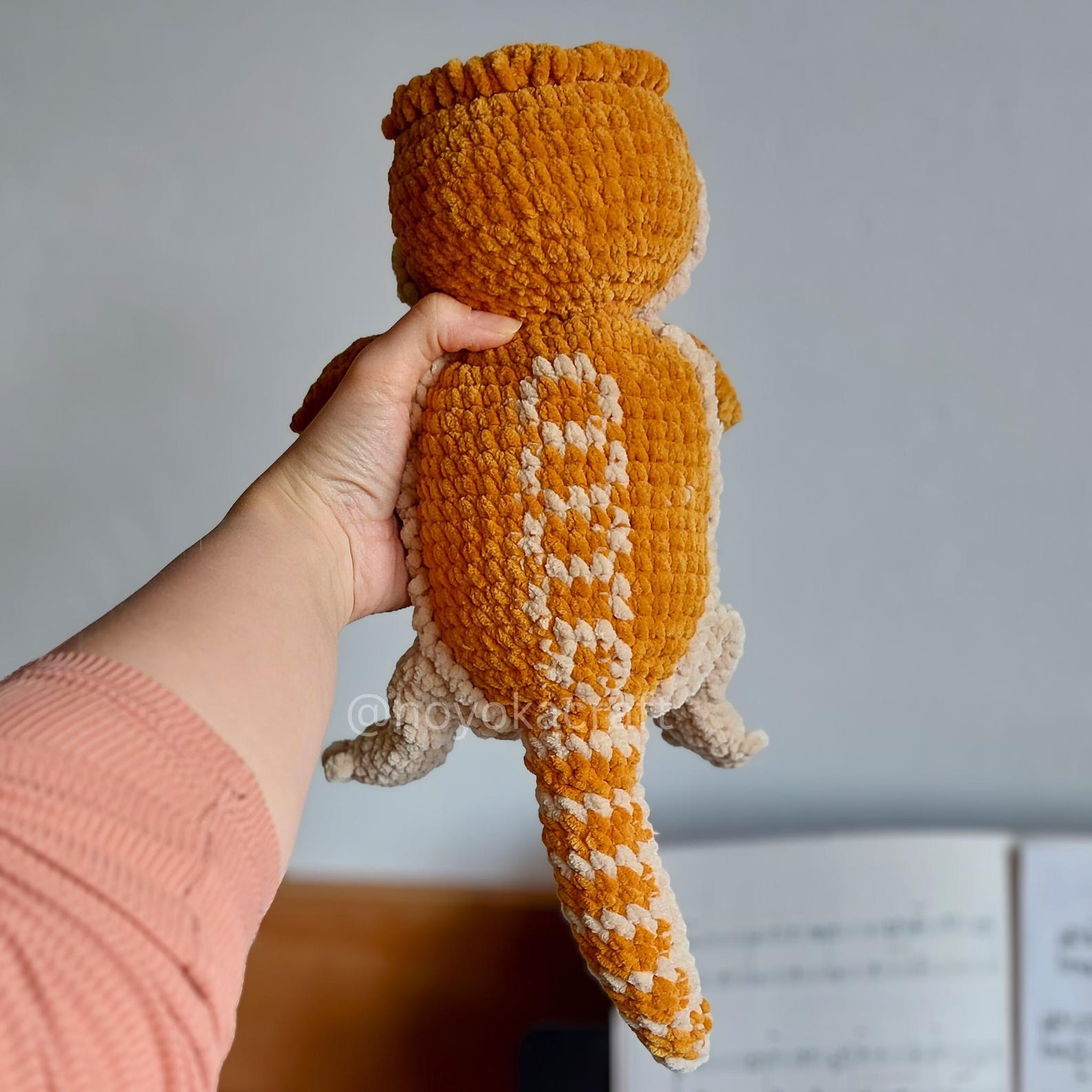 Bearded Dragon Amigurumi Crochet Pattern With Top and Dragon Hat (PDF ...