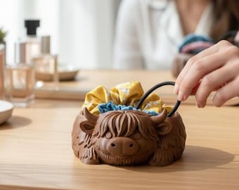 Highland Cow Organizer, Jewelry Dish, Sponge Holder, Hair Tie Holder, Farmhouse Kitchen Decor, Cute Scottish Cow Storage Tray