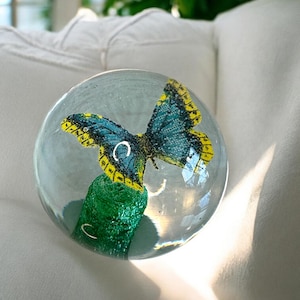 Beranek Glass - Etsy