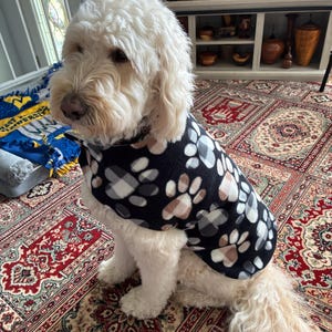 May include: A fluffy, cream-colored dog wearing a black fleece dog coat with a pattern of white, brown, and gray paw prints. The dog is sitting on a patterned rug with red and beige tones.