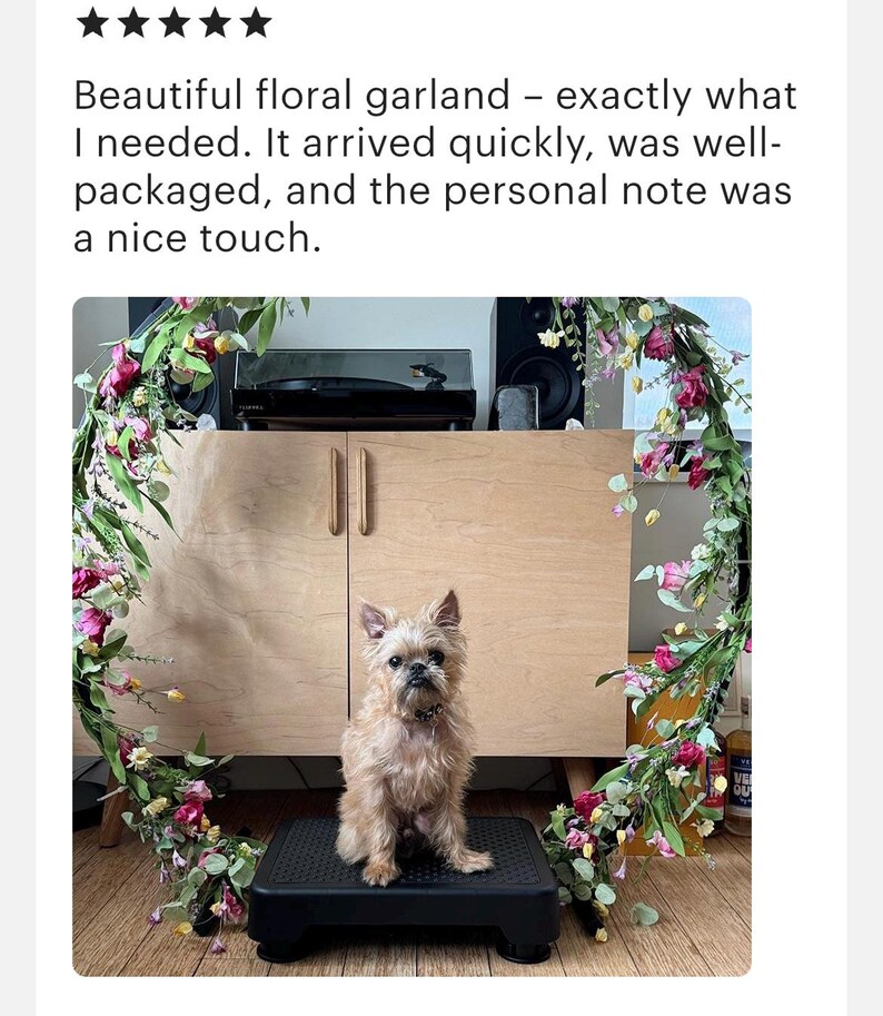 May include: A small brown dog sits on a black step stool in front of a wooden cabinet. A floral garland made of pink, white, and green flowers hangs on the wall behind the dog.