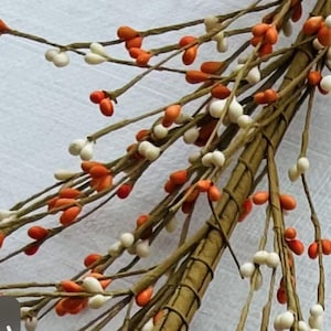May include: A bunch of faux berry sprigs with white and orange berries. The sprigs are tied together with brown twine.