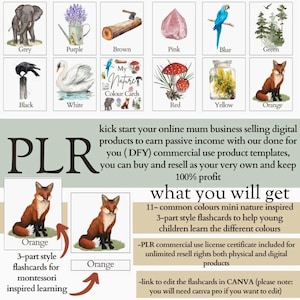 Cartões coloridos My Nature DFY Uso comercial permitido PLR MRR Licença incluída