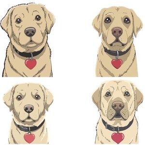 Cute Labrador Retriever PNG | Adorable Golden Dog Cartoon SVG Graphic Bundle for Sublimation, Dog Stickers, T-Shirts, and More