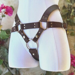 Shoog Strapon Harness