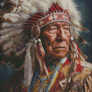 May include: A Native American man wearing a traditional headdress with white and brown feathers. He is wearing a red and gold beaded vest with a blue beaded necklace. The man has a serious expression on his face.