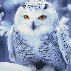 Cross Stitch Kit - Cool Snow Owl - Owl Cross Stitch Pattern - DIY Embroidery Kit - Needlepoint Kit - 14 Count, DMC Color