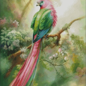 Quetzal Embroidery - Etsy