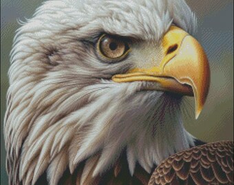 Cross Stitch Kit - Portrait of Bald Eagle - Eagle Cross Stitch Pattern - DIY Embroidery Kit - Needlepoint Kit - 14 Count, DMC Color