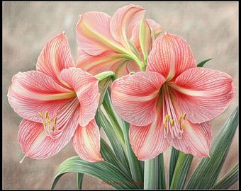 Roze amaryllis - getelde kruissteekpatronen - afdrukbare grafiek pdf-formaat handwerken borduren knutselen DHZ DMC kleur - zwart-wit symbolen