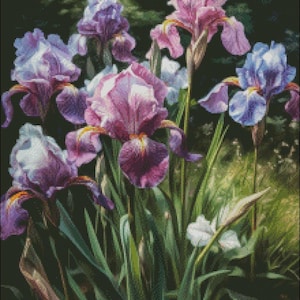 May include: A close-up of a cluster of purple, pink, and white irises in bloom. The flowers are arranged in a vase and are surrounded by green leaves.