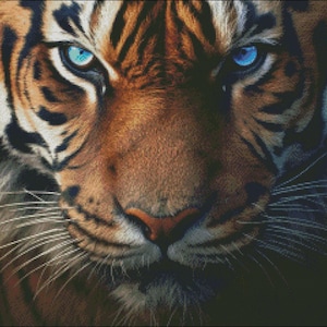Cross Stitch Kit - Tiger Stare 1 - Tiger Cross Stitch Pattern - DIY Embroidery Kit - Needlepoint Kit - 14 Count, DMC Color