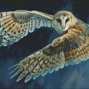 Cross Stitch Kit - Barn Owl in Flight - Owl Cross Stitch Pattern - DIY Embroidery Kit - Needlepoint Kit - 14 Count, DMC Color