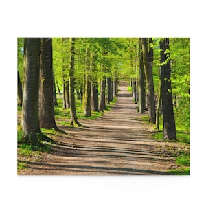 Natural Pathways, Trees Puzzle, 120, 252, 500 Piece, Relaxing Evening Activity, Gift for Nature Lovers, Home Decor, Gift for Mom