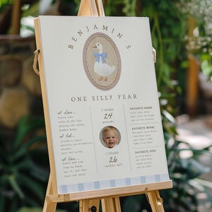 One Silly Goose Birthday Milestone Sign Template | Birthday Goose My First Year Printable Poster | Goose 1st Birthday Ideas | BENJAMIN