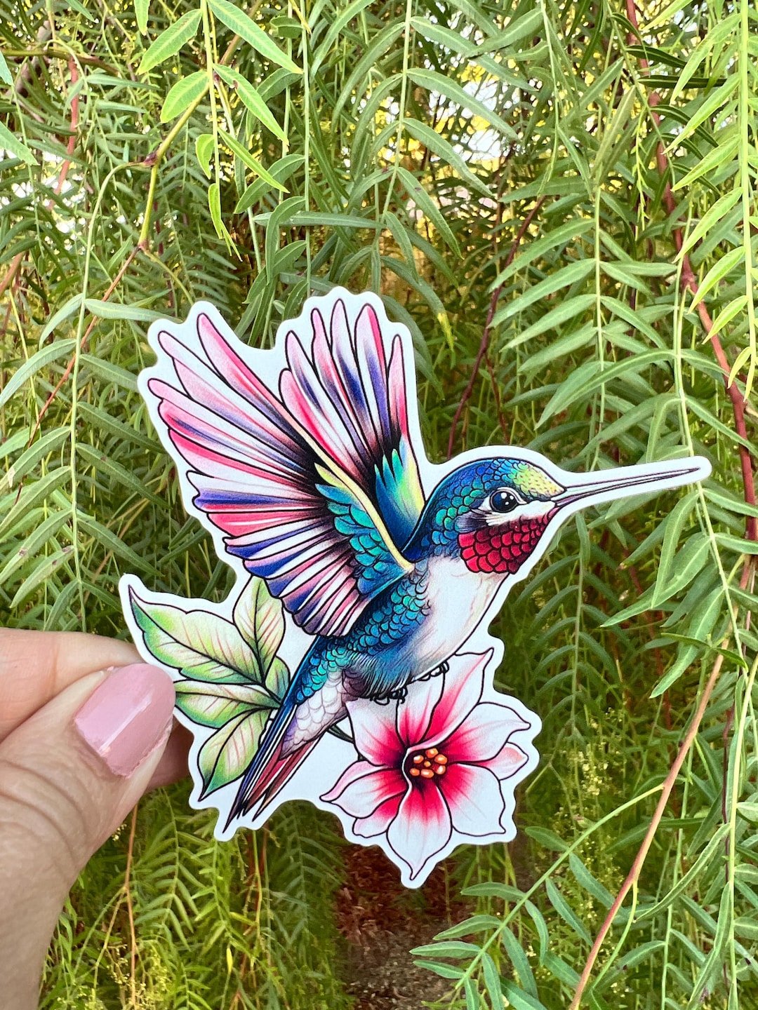 El Colibri Hummingbird Art Vinyl Sticker, Chuparosa Bird Colorful ...