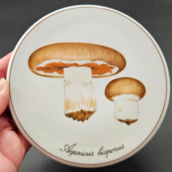 Rare Bing & Grøndahl Agaricus Bisporus Mushroom Plate – Denmark Porcelain – Botanical Wall Decor – Vintage Danish Art Plate