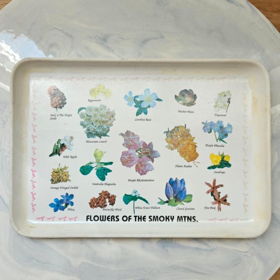 Vintage Melamine Serving Tray - Flowers of the Smoky Mountains ~ 7x10" - Used Condition - Tennessee Flowers - Floral Tray