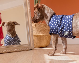 Blue and White Dots Puppy Shirt in Organic Cotton | Made to Order