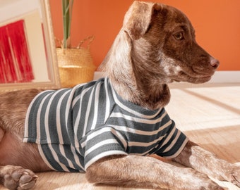 Breton Striped Dog Shirt in Charcoal Soft Organic Cotton | Made to Order