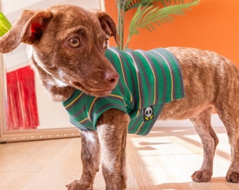 Crewneck Striped Dog Shirt in Emerald Organic Cotton | Made to Order