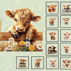 May include: A series of watercolour illustrations depicting Highland cows. The central image shows a calf with light brown fur, resting its front legs on a wooden fence, surrounded by daisies and wheat. Other images show various cow portraits.