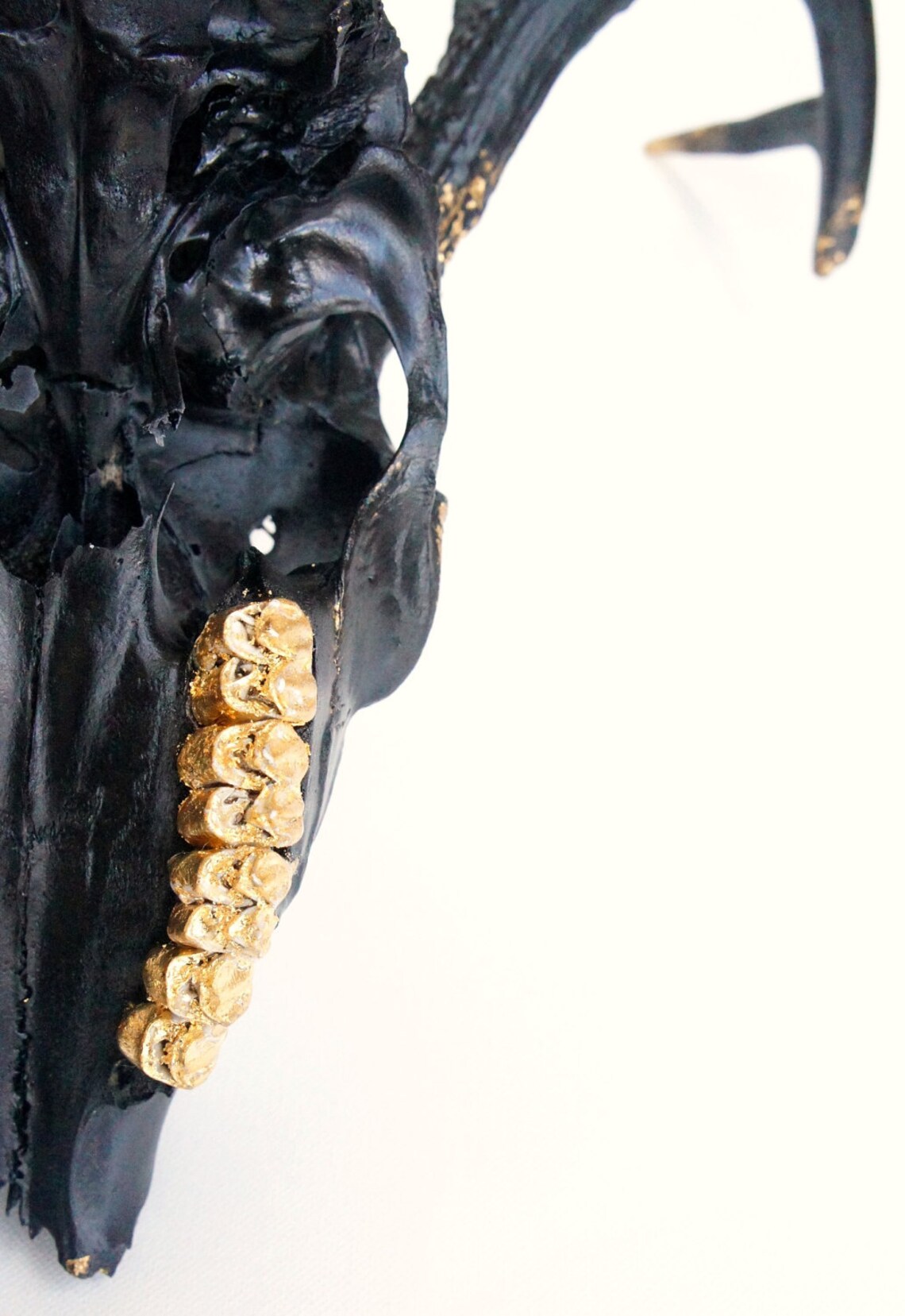 Black Gold Leaf Deer Skull Wall Decor Art OOAK Etsy