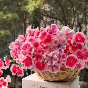 May include: A wicker basket overflowing with vibrant pink and white flowers, resting atop a stack of books. The flowers have a striking contrast of deep pink centers and white edges. The books are titled "Anna Karenina" and "Alice Munro".