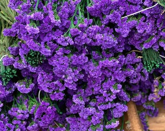 Limonium Seeds –  | 30+ Seeds |  Mix Statice | Everlasting Cut Flower & Dried Bouquet | Bee Magnet | Cottage Garden Favorite