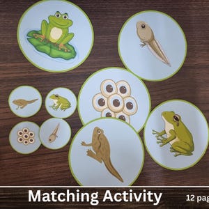 Frog Life Cycle Cut & Paste Activity | Spring Science Craft Printable for Kids | A4 PDF Download