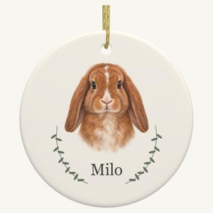 Ornamento commemorativo personalizzato per animali domestici, ricordo in ceramica a doppia faccia con ritratto e nome personalizzati dell'animale.