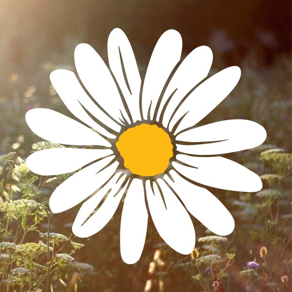 Simple Daisy Vinyl Decal - Wildflower Decal, Nature Sticker, Mirror Sticker, Laptop Sticker, Water Bottle Decal,