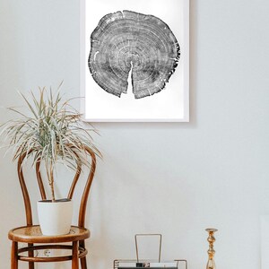Carver&#39;s Pine: original woodcut print, tree ring art, natural wall art, handmade in USA