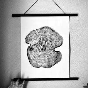 Red Pine woodcut Print, tree ring art, natural wall art, handmade in USA