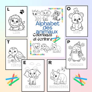 French alphabet coloring ｜animal coloring for children ｜kindergarten and primary school activity