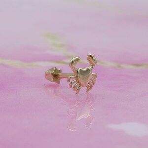 14K Solid Gold Crab Flat Back Earring | Real Gold Cancer Conch Earring, Helix & Tragus Piercing, Cartilage, Ear Piercing, Flat Back Studs