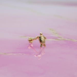 Orecchino a forma di tartaruga con parte posteriore piatta in oro massiccio 14K / Orecchino a forma di conchiglia di tartaruga in oro vero, piercing all'elice e al trago, cartilagine, piercing all'orecchio, borchie con parte posteriore piatta