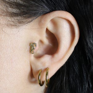 14K Solid Gold Seahorse Flat Back Earrings Tragus Cartilage Ocean Piercing Helix Ear Piercing Earring Studs Animal Earring Lobe Simple Tiny