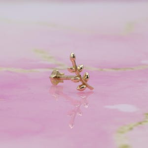 14K Solid Gold Oliven Zweig Flatback Ohr Piercing Bolzen Ohrring Helix Bolzen Tragus Piercing kleine Schraube Flachboden Ohrring
