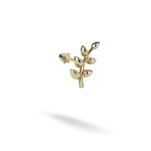 14K Solid Gold Olive Branch Flatback Ear Piercing Stud Earring  Helix Stud Tragus Piercing Tiny Screw Flat Back Earring