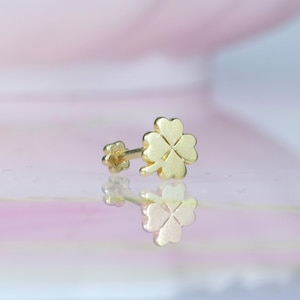 14K Solid Gold Lucky Clover Flat Back Earring | Real Gold Four Leaf Clover Conch, Helix Tragus Piercing, Cartilage, Ear Piercing, Studs