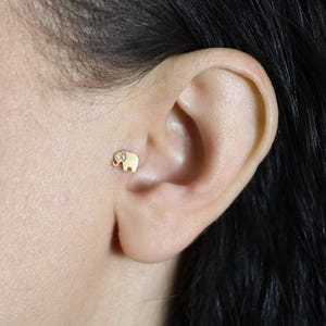 14K Solid Gold Elephant Flat Back Earrings Cartilage Jewelry Tragus Animal Earring Helix Ear Piercing Tiny Lobe Earring Studs Real Simple