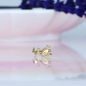 Orecchino Scorpione piatto in oro massiccio 14K / Orecchino Scorpione conchiglia in oro vero, piercing elicoidale e trago, cartilagine, piercing all'orecchio, borchie piatte