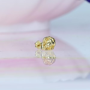 14K Solid Gold Lion Head Flatback Ear Piercing Stud Earring  Helix Stud Tragus Piercing Tiny Screw Flat Back Earring