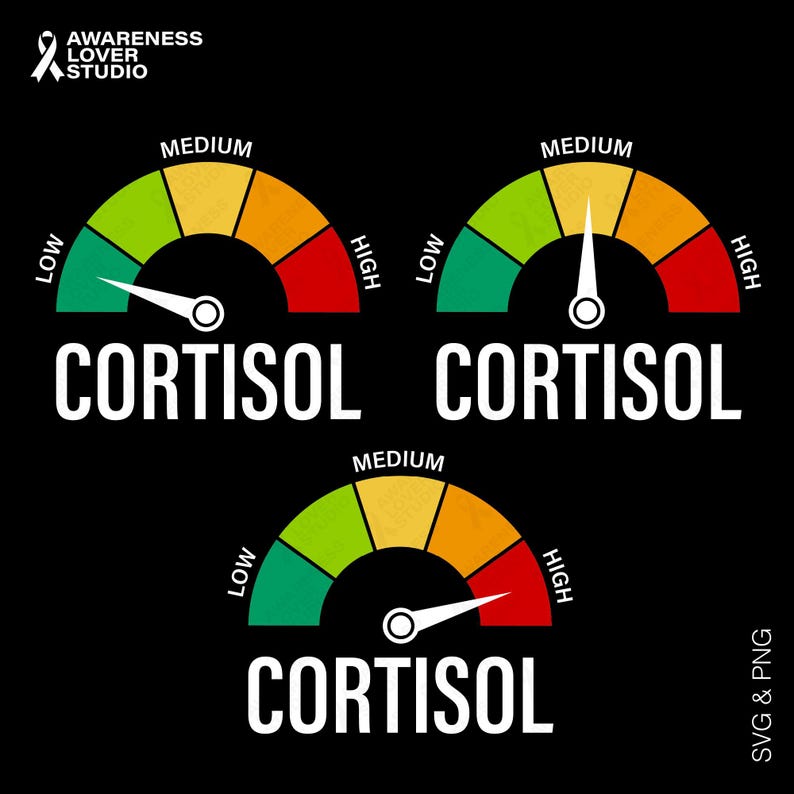 3 Gauge Bundle Cortisol Levels SVG PNG : Low Medium High Stress ...