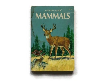 Vintage Golden Field Guide to Mammals - 1955 Poor Condition Paperback - Ready to Ship