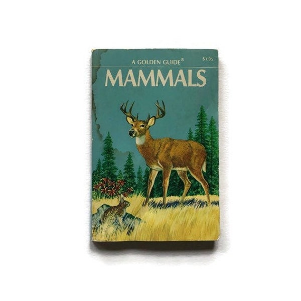 Vintage Golden Field Guide to Mammals - 1955 Poor Condition Paperback - Ready to Ship