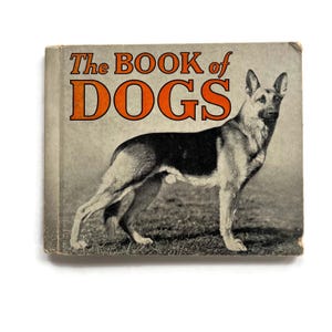 The Book of Dogs - 1934 - Hardcover Mini Guide Book