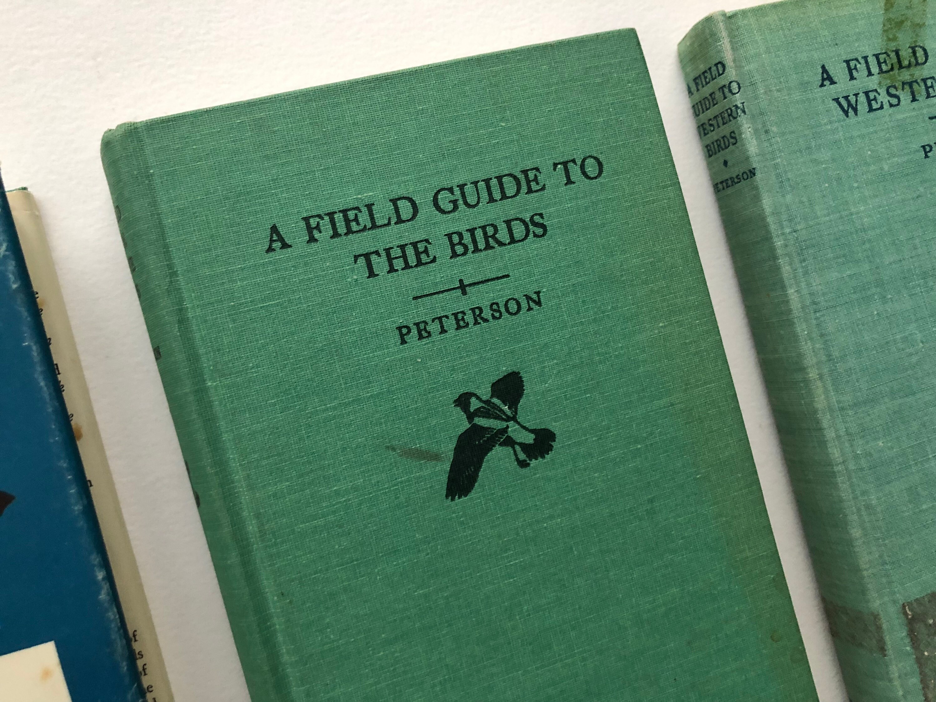 Vintage Field Guides to Birds Etsy