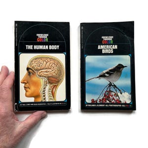 May include: Two vintage books titled "The Human Body" and "American Birds." The "Human Body" book features a detailed illustration of the human brain and anatomy. The "American Birds" book displays a bird perched on a branch with red berries against a blue sky.